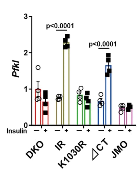 Open access visualization of Bar Plot, Error Bars, mRNA Levels, Pfkl, FBS Starvation