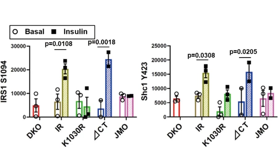 Open access visualization of Bar Plot, Error Bars, Phosphorylation, IRS1, Shc1