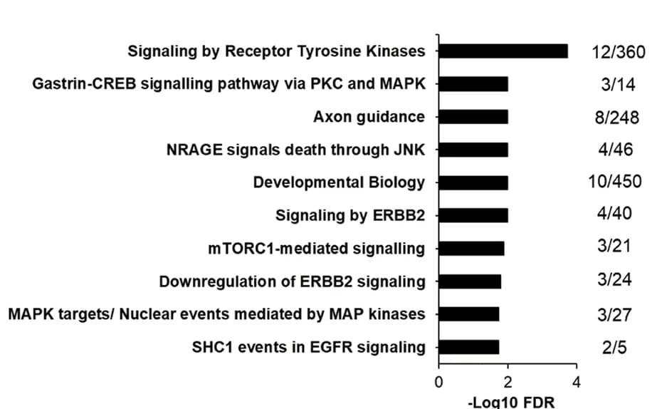 Open access visualization of Bar Plot, REACTOME, Pathway Enrichment Analysis, Phosphosites, Insulin Cluster