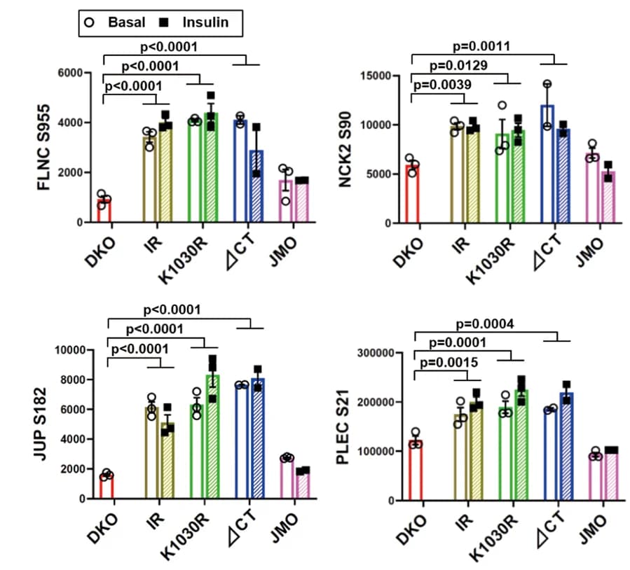 Open access visualization of Bar Plot, Error Bars, Clustered, Phosphosites, Pathways
