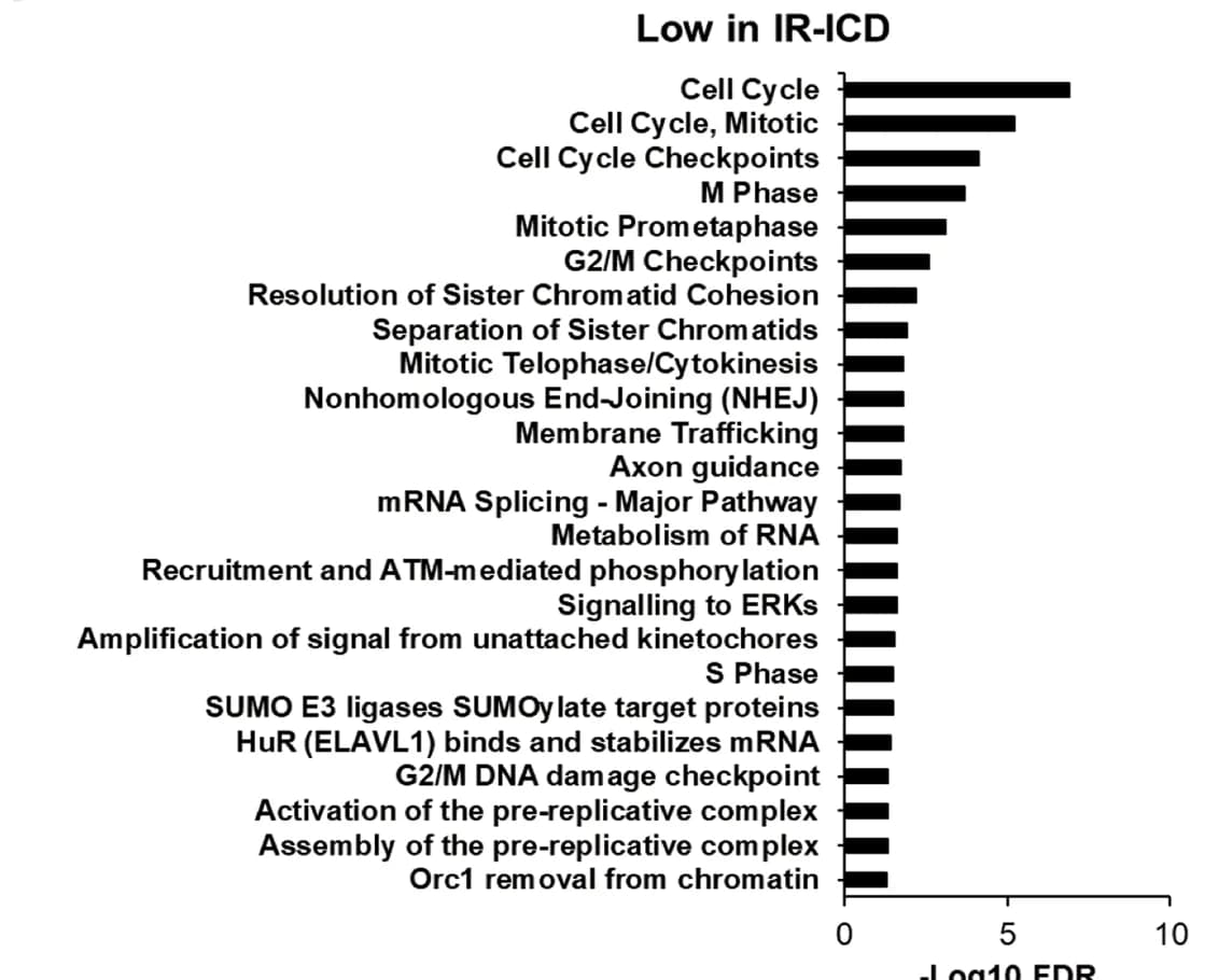 Open access visualization of Bar Plot, REACTOME pathway, Phosphosites, Low-Phos in IR-ICD cluster, STRING database
