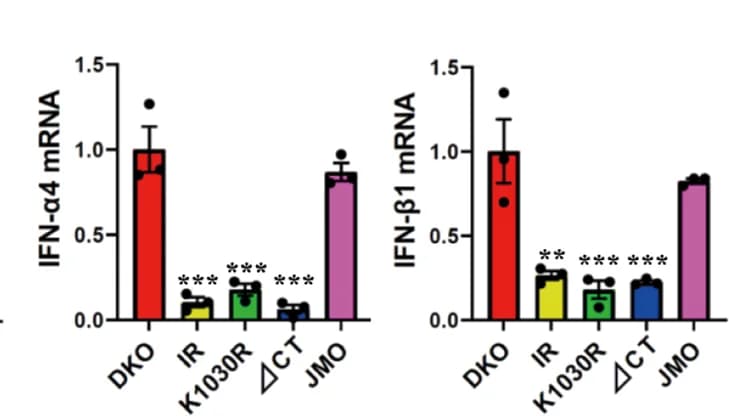 Open access visualization of Bar Plot, Error Bars, Gene Expression Levels, qPCR, IFN-α4