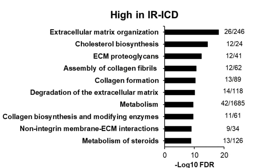 Open access visualization of Bar Plot, Pathway Analysis, REACTOME Pathways, IR-ICD, Protein Expression