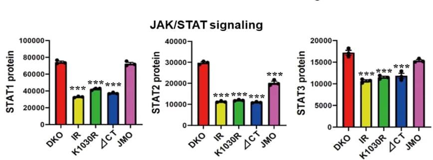 Open access visualization of Bar Plot, Error Bars, Quantitation, JAK/STAT Signaling Pathway, IR-ICD