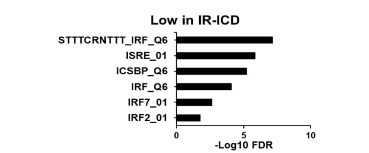Open access visualization of Bar Plot, Enrichment Analysis, Gene Motifs, IR-ICD, Protein Expression