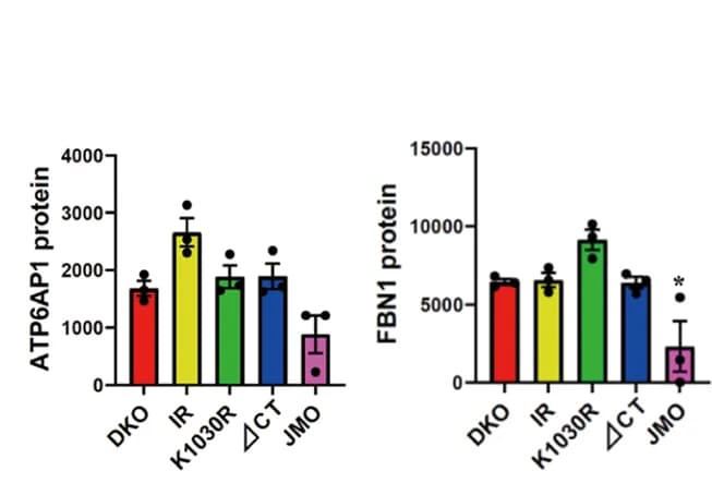 Open access visualization of Bar Plot, Error Bars, Proteins, Protein Expression, JMO Cluster