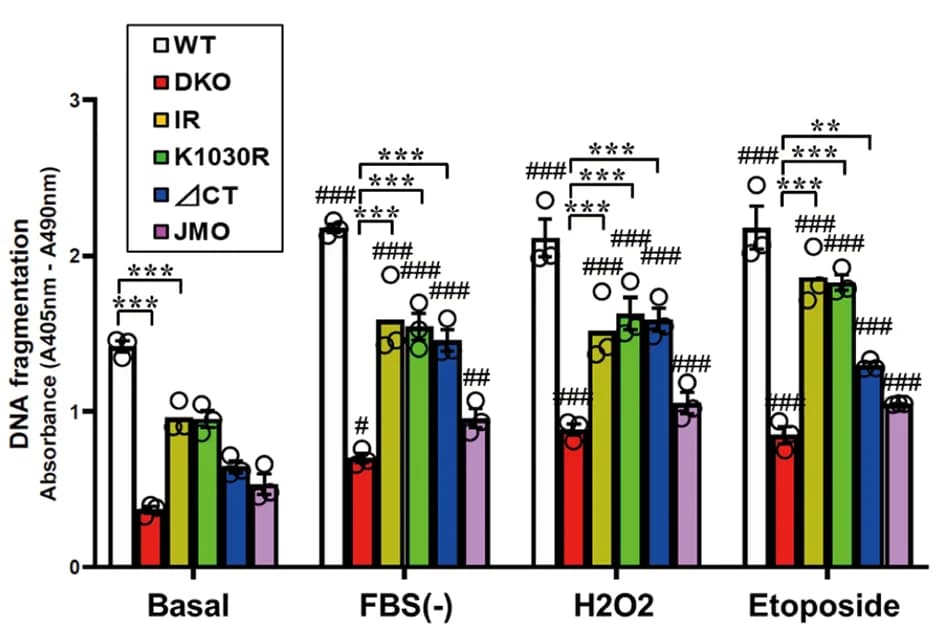 Open access visualization of Bar Plot, Error Bars, Clustered, DNA Fragmentation, WT Cells