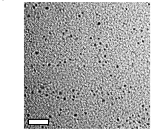 Open access visualization of Microscopy, TEM Image, R -1UCM