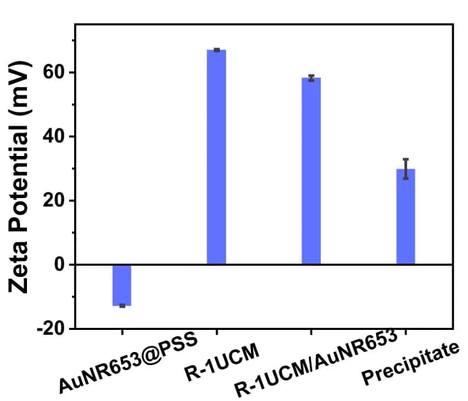 Open access visualization of Bar Plot, Error Bars, Zeta Potential, R -1UCM, AuNR653