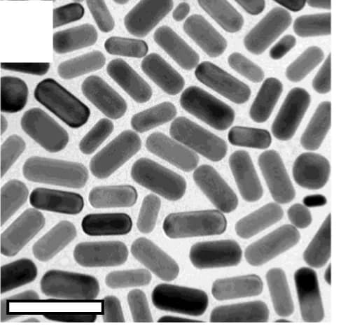 Open access visualization of Microscopy, TEM, AuNR653