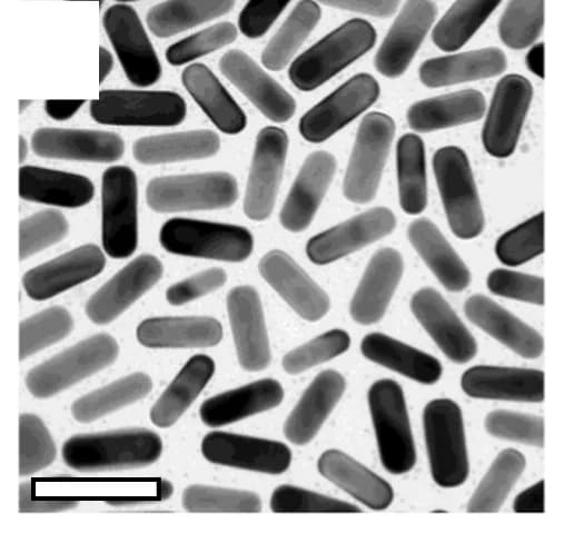 Open access visualization of Microscopy, TEM, AuNR@Ag659