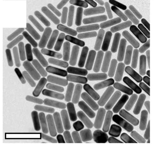 Open access visualization of Microscopy, TEM, AuNR737