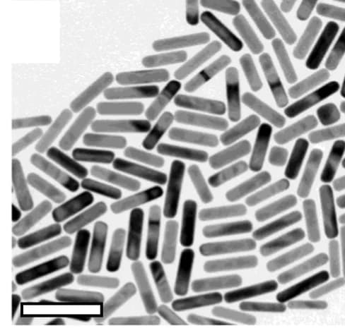 Open access visualization of Microscopy, TEM, AuNR812