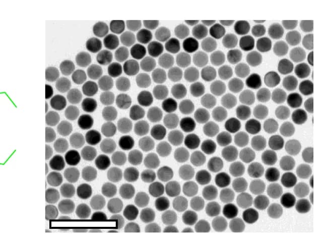 Open access visualization of Microscopy, TEM Image, AuNSs