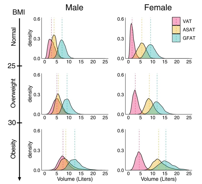 Open access visualization of Density Plot, Visceral Adipose Tissue, Abdominal Subcutaneous Adipose Tissue, Gluteofemoral Adipose Tissue, BMI