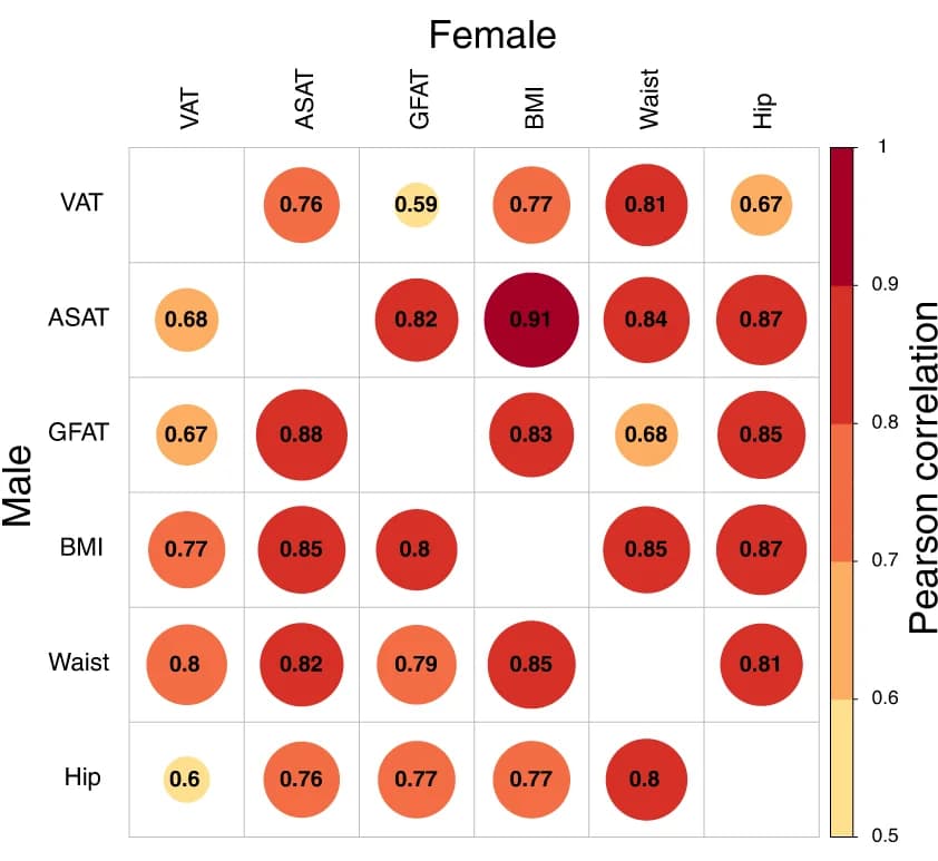 Open access visualization of Bubble Plot, Visceral Adipose Tissue, Abdominal Subcutaneous Adipose Tissue, Gluteofemoral Adipose Tissue, BMI