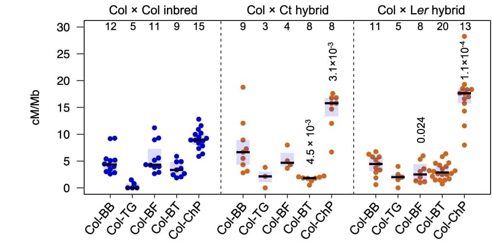 Open access visualization of Box Plot, Scatter Plot, CO Frequency, ESILs, Fluorescent Seed Scoring
