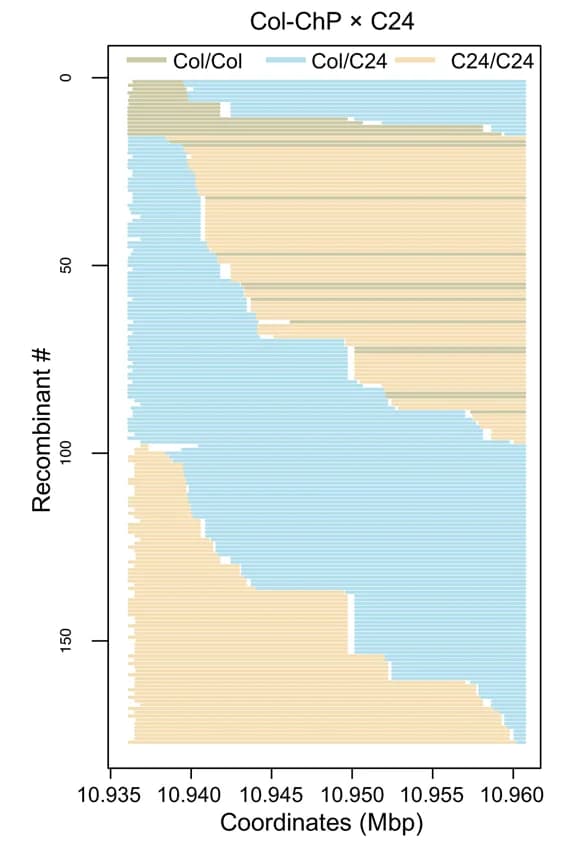 Open access visualization of Stacked Bar Plot, CO Frequency, Recombination, Boxplot, T-test