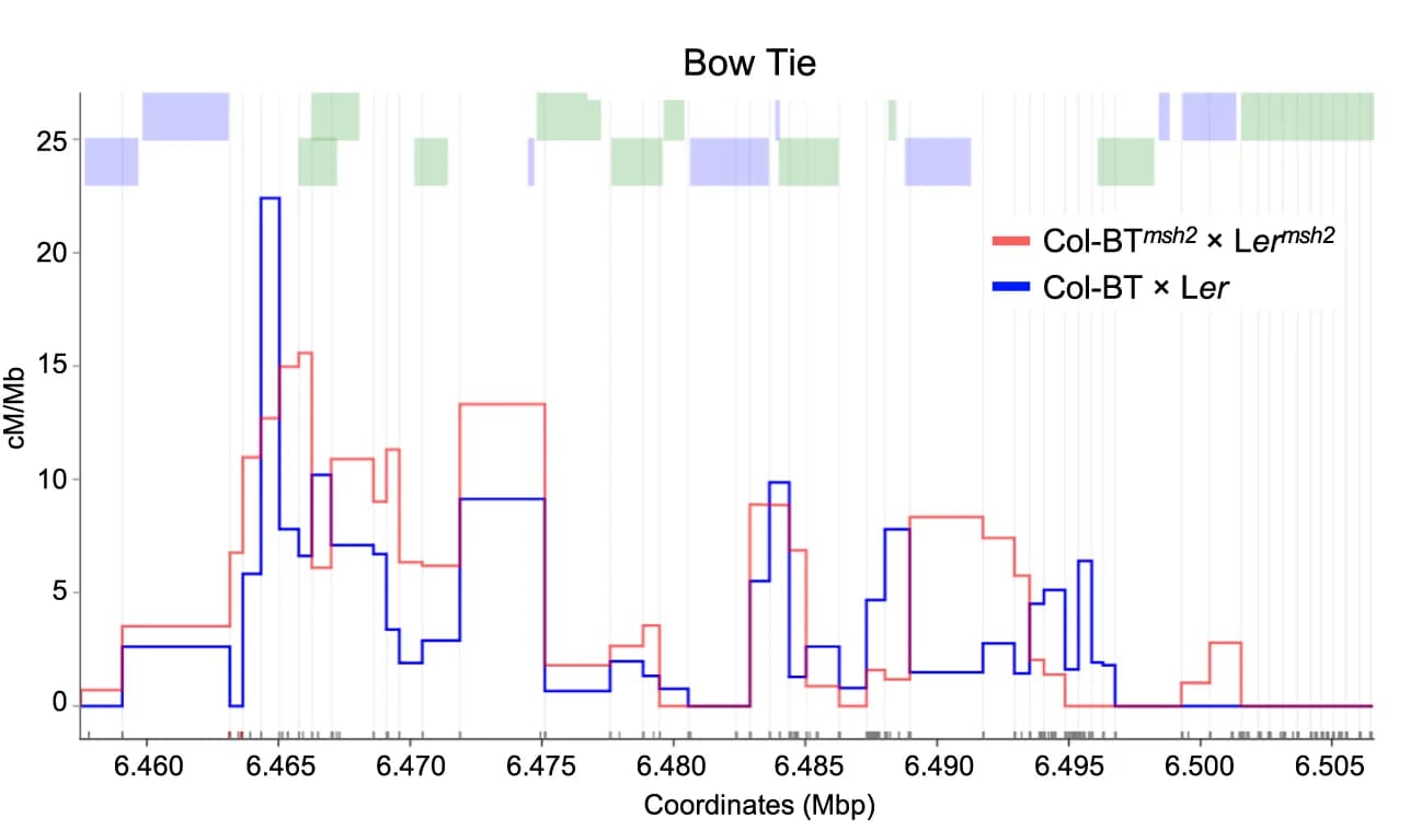 Open access visualization of Line Plot, Line Step, Crossover Landscape, BT Interval, Wild Type