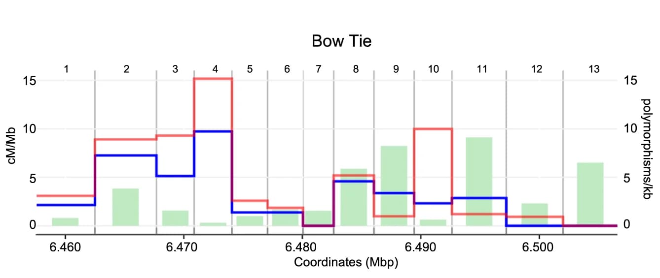 Open access visualization of Histogram, Line Step, Crossovers, BT Interval, Polymorphism Density