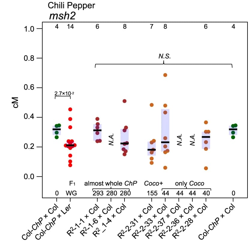Open access visualization of Scatter Plot, Box Plot, ChP CO Frequency, R2 Lines, msh2