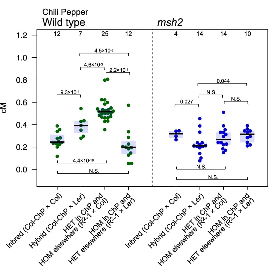 Open access visualization of Box Plot, Scatter Plot, ChP Crossover Frequency, Inbreds, Hybrids