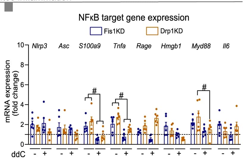 Open access visualization of Bar Plot, Error Bars, Scatter Plot, NFkB target gene, mtDNA depletion