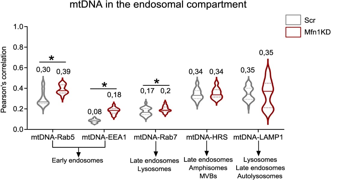 Open access visualization of Violin Plot, Pearson’s correlation, mtDNA, Endosomal markers