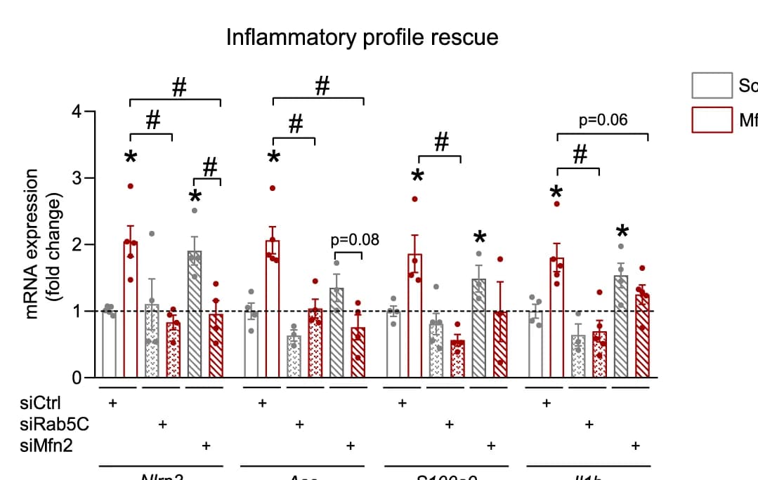 Open access visualization of Bar Plot, Error Bars, Scatter Plot, NFκB, Target gene expression