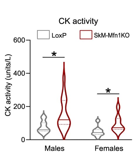 Open access visualization of Violin Plot, CK Activity, Plasma Samples, Mice