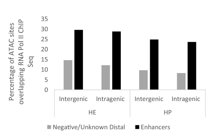 Open access visualization of Bar Plot, Clustered, Intergenic Fragments, Intragenic Fragments, RNA Polymerase II