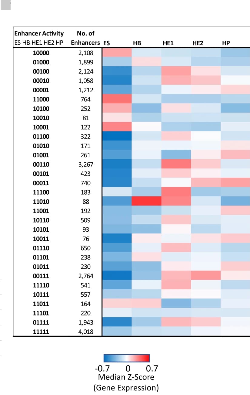 Open access visualization of Heatmap, Enhancer Activity, Developmental Stages, HiC data, ES Cells