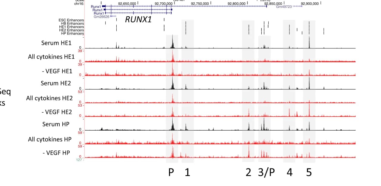 Open access visualization of Line Plot, Density Plot, Runx1 locus, Open chromatin regions, Enhancers