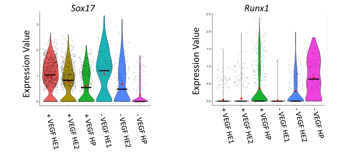 Open access visualization of Violin Plot, Scatter Plot, Violin plots, Gene expression levels, Sox17