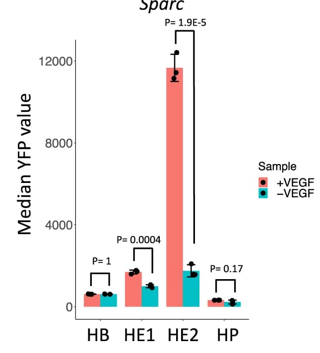Open access visualization of Bar Plot, Error Bars, Clustered, Sparc Enhancers, Pxn Enhancers