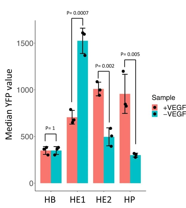Open access visualization of Bar Plot, Error Bars, Clustered, Dlk1 Enhancer, VEGF Responsive