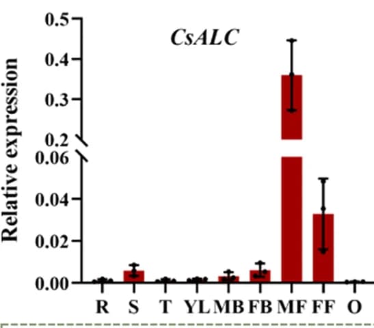Open access visualization of Bar Plot, Error Bars, qPCR, CsALC Expression, Cucumber Organs