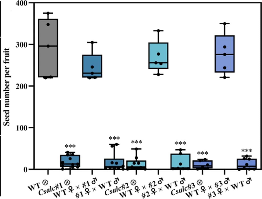 Open access visualization of Box Plot, Scatter Plot, Quantitative Analysis, Seed Numbers, Mature Fruits