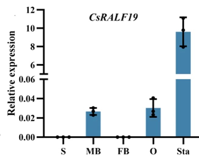 Open access visualization of Bar Plot, Error Bars, CsRALF19, Cucumber Organs, Stems