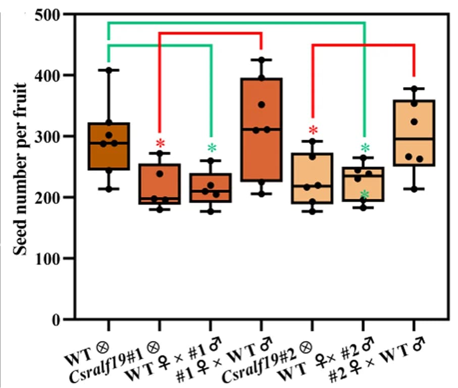 Open access visualization of Box Plot, Quantitative Analysis, Seed Number