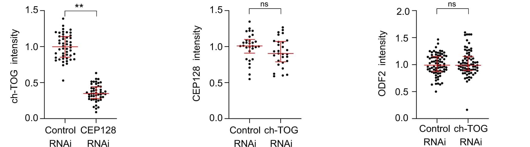Open access visualization of Scatter Plot, Error Bars, Centriolar Fluorescence Intensities, Proteins, CEP128