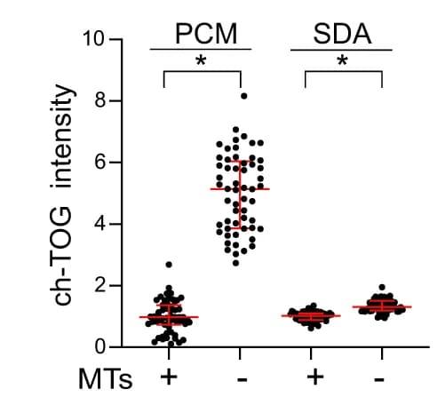 Open access visualization of Scatter Plot, Error Bars, ch-TOG staining, PCM, Subdistal Appendages
