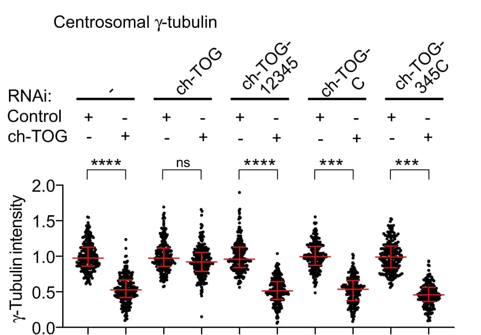 Open access visualization of Scatter Plot, Error Bars, Centriolar Gamma-tubulin Intensities, Cells, Control