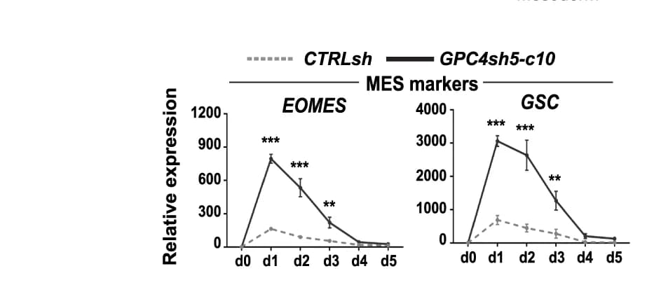 Open access visualization of Line Plot, Error Bars, hiPSCs, Differentiation, DE