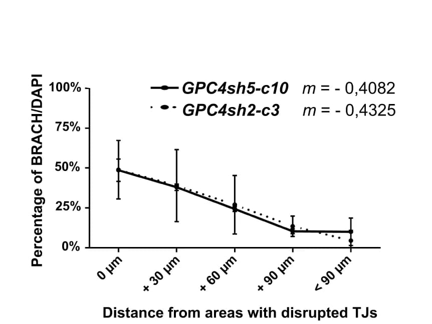 Open access visualization of Line Plot, Error Bars, BRACH positive cells, Disrupted Tight Junctions, Quantification