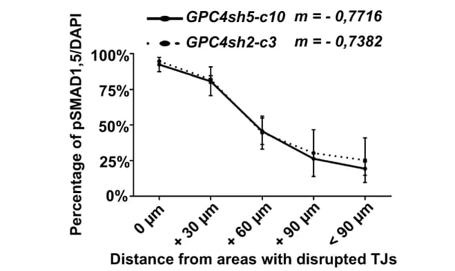 Open access visualization of Line Plot, Error Bars, pSMAD1,5 positive cells, Distance, TJs