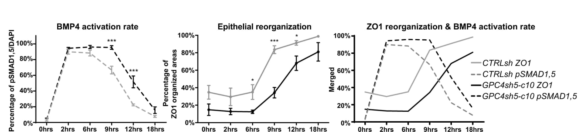 Open access visualization of Line Plot, Error Bars, Quantitative analysis, pSMAD1,5 positive cells, ZO1 organized areas