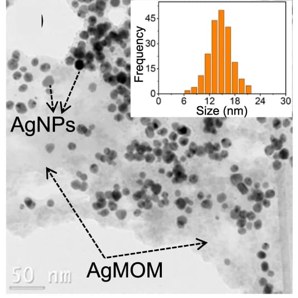 Open access visualization of Microscopy, Histogram, TEM Image, Ag-AgMOM, Ag Nanoparticles