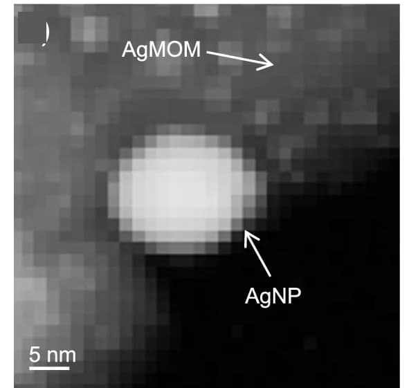 Open access visualization of Microscopy, HAADF-STEM Image, AgAgMOM