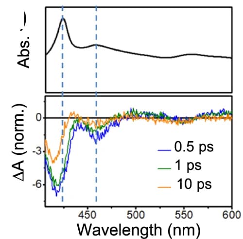 Open access visualization of Line Plot, Femtosecond Transient Absorption Spectra, Time Delays, Ag-AgMOM, Pump Wavelength